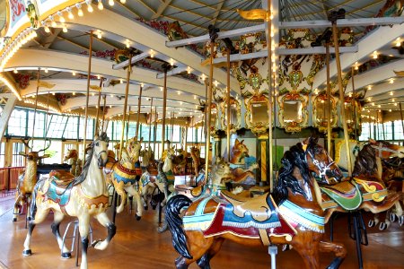 Dentzel Carousel, San Francisco Zoo - San Francisco, CA - DSC03437