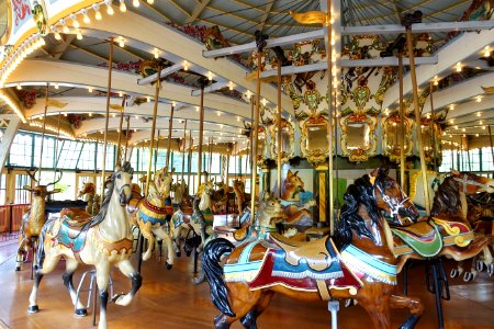 Dentzel Carousel, San Francisco Zoo - San Francisco, CA - DSC03437 photo