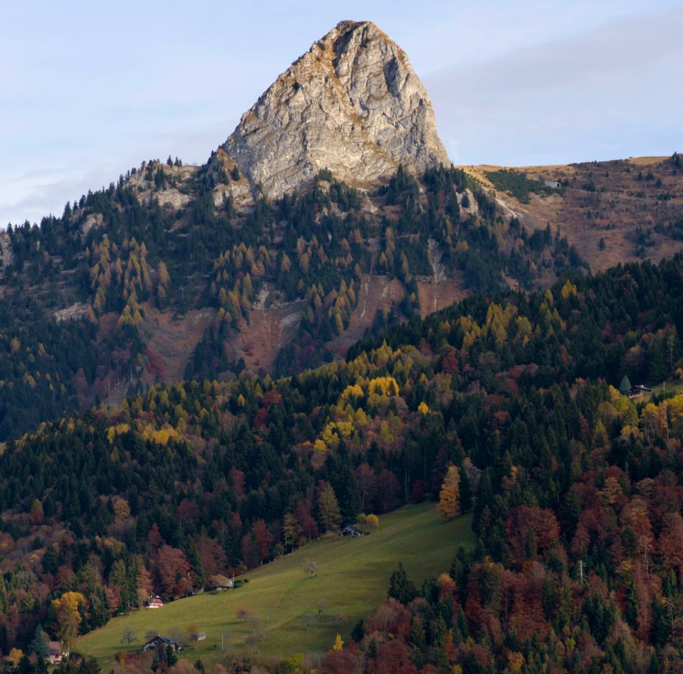 Dent De Jaman (181256035)