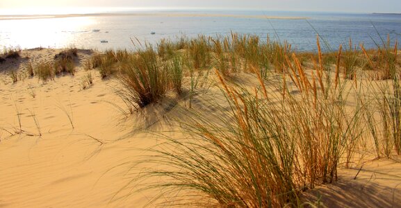 Sand dune sand beach atlantic coast photo