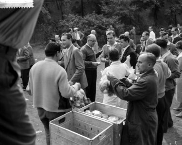 Demonstratie van Duitse mijnwerkers in Bonn tegen sluitin van mijnen in het Roer, Bestanddeelnr 910-7025