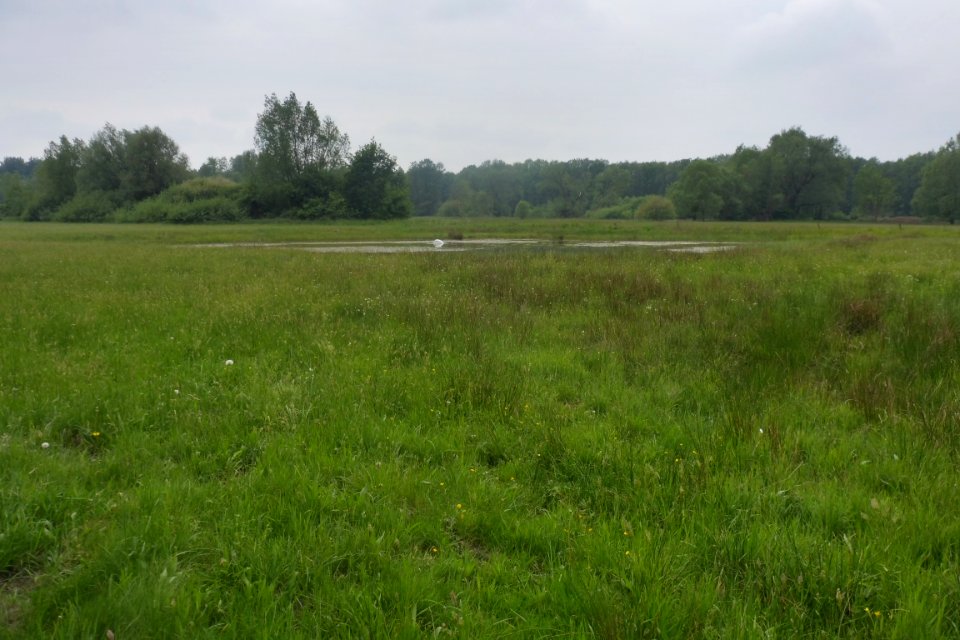 Delbrück - Rixel - 19