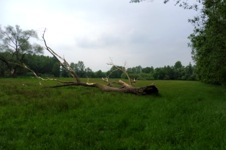 Delbrück - Rixel - 16