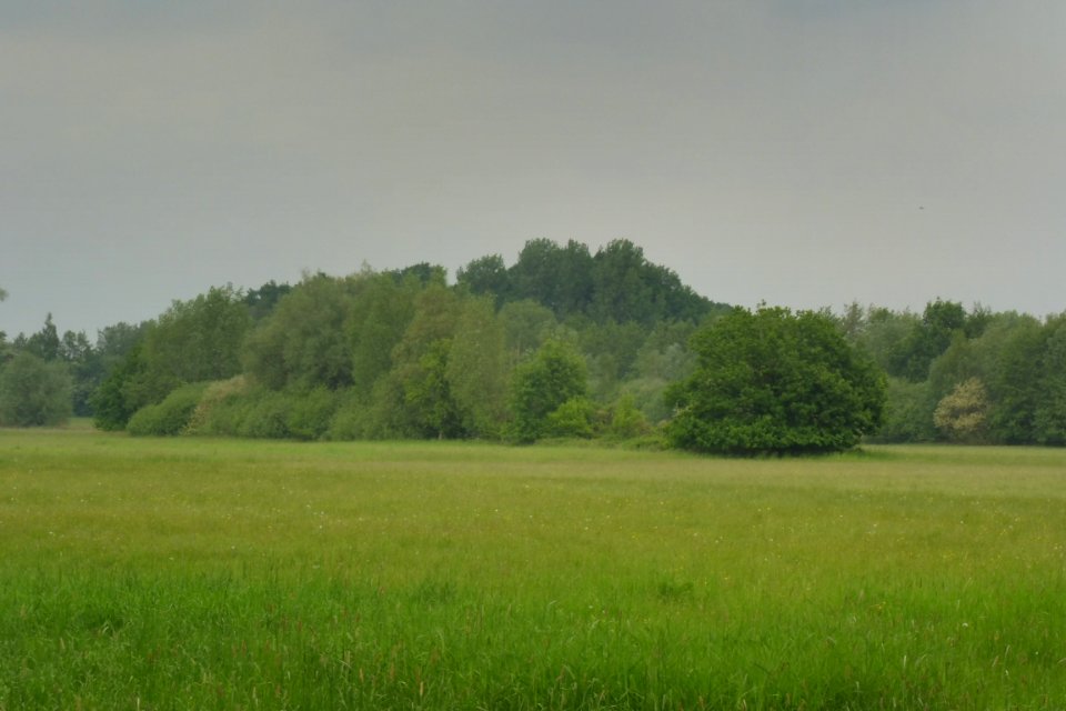 Delbrück - Rixel - 14