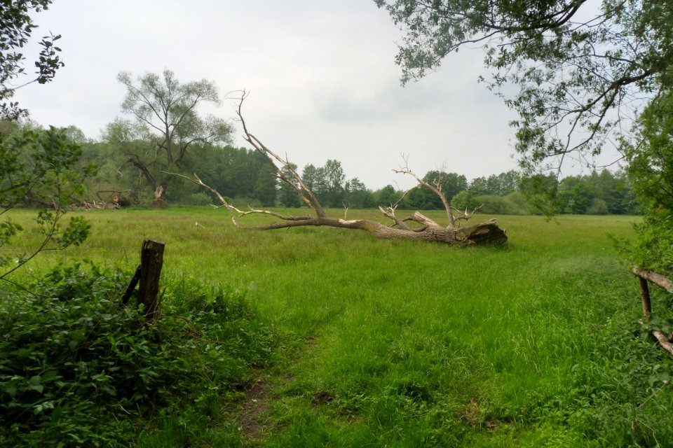 Delbrück - Rixel - 15