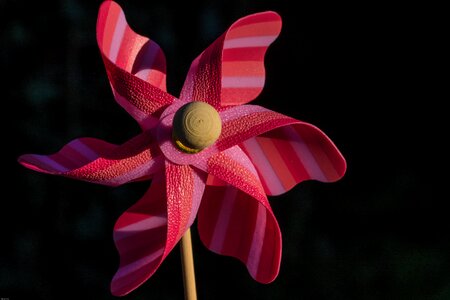Colorful windspiel windmill