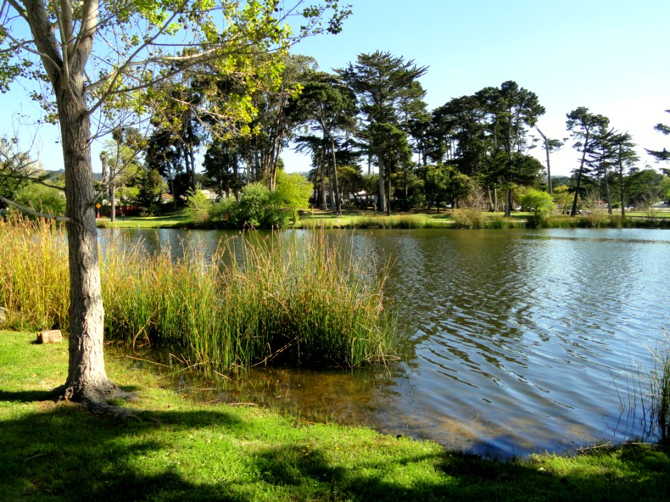 Del Monte Lake - Naval Postgraduate School - DSC06834