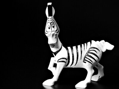 Animal striped black