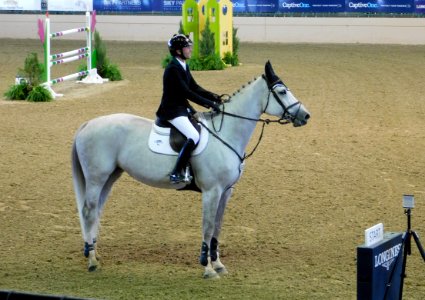Del mar international horse show 2019