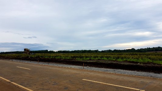 Del Monte Pineapple field at Camp Philips, Bukidnon, Philippines 04