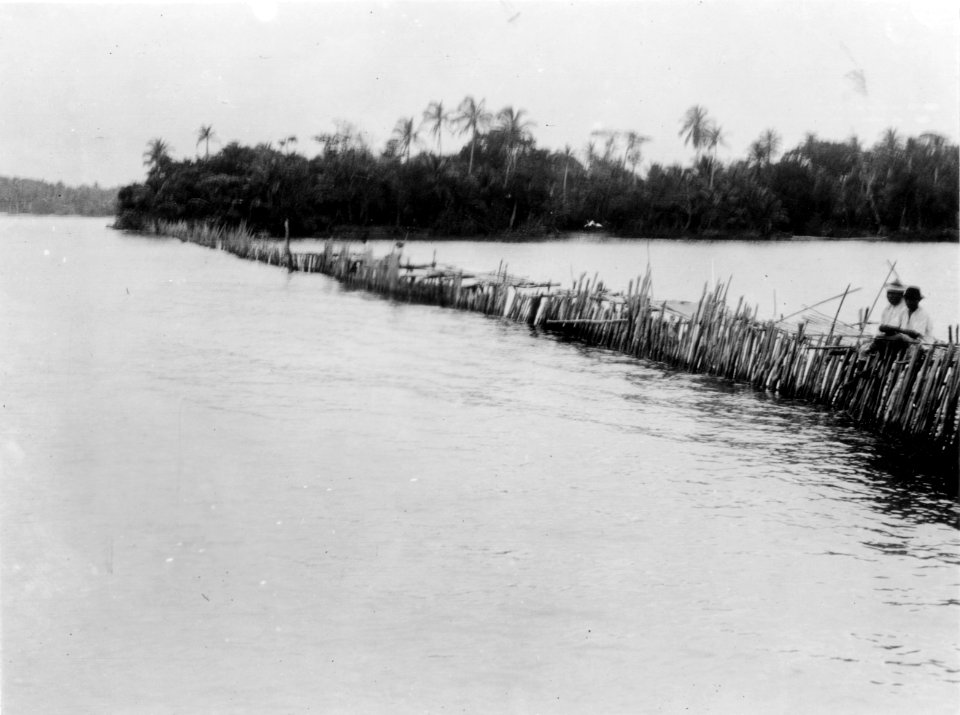 Del av fiskegård. San Blas. Panama - SMVK - 004489