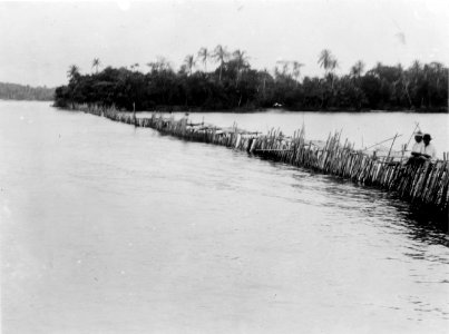 Del av fiskegård. San Blas. Panama - SMVK - 004489