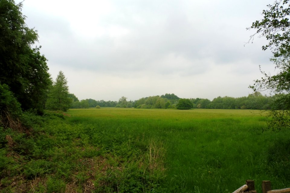 Delbrück - Rixel - 13