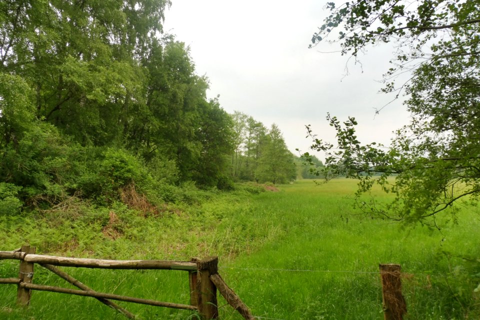 Delbrück - Rixel - 12