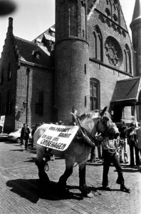 Demonstranten op het Binnenhof, Bestanddeelnr 927-9913