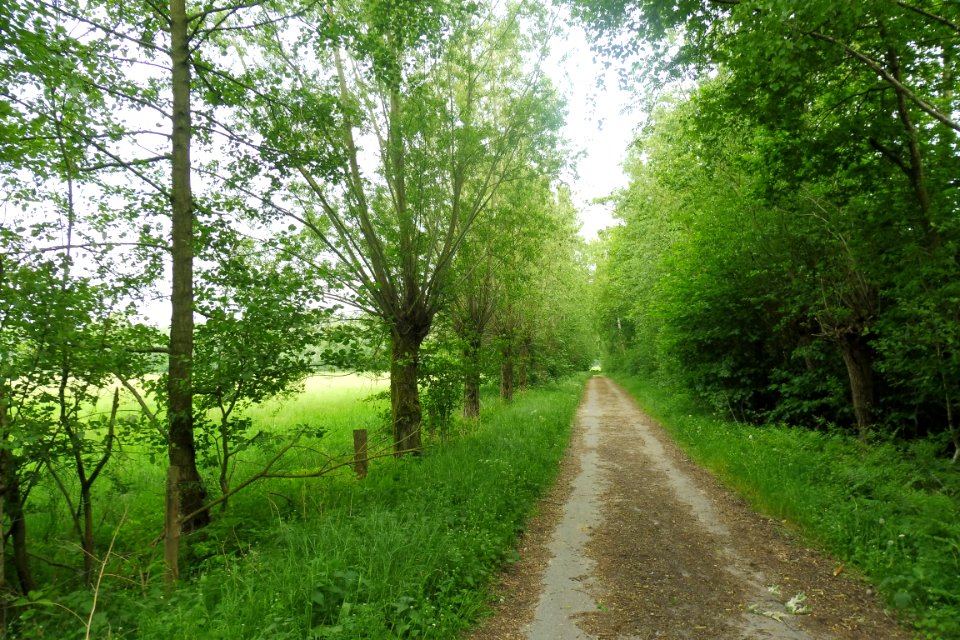Delbrück - Rixel - 11