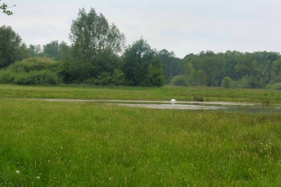 Delbrück - Rixel - 17