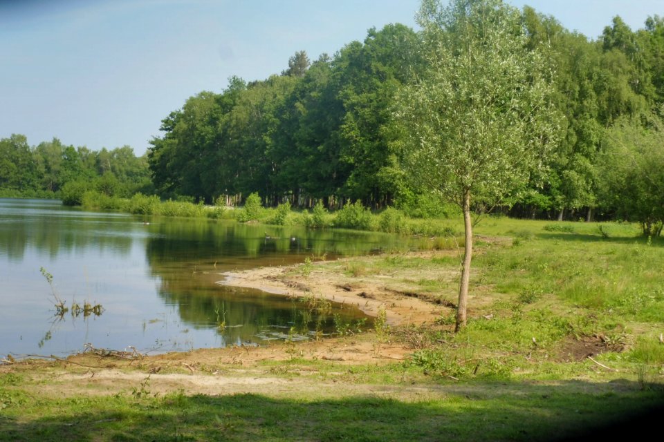 Delbrück - Boker Heide - 15
