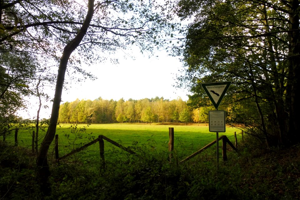 Delbrück - Boker Heide - 1
