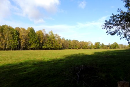 Delbrück - Boker Heide - 8