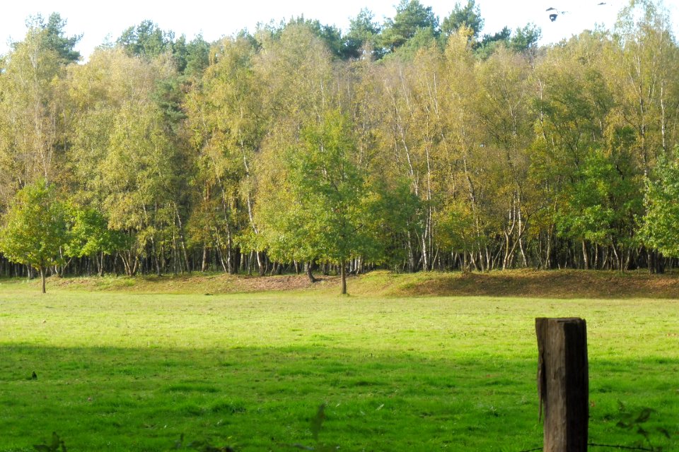 Delbrück - Boker Heide - 2