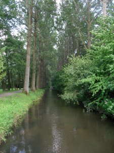 Delbrück-Boker-Heide-Kanal-2