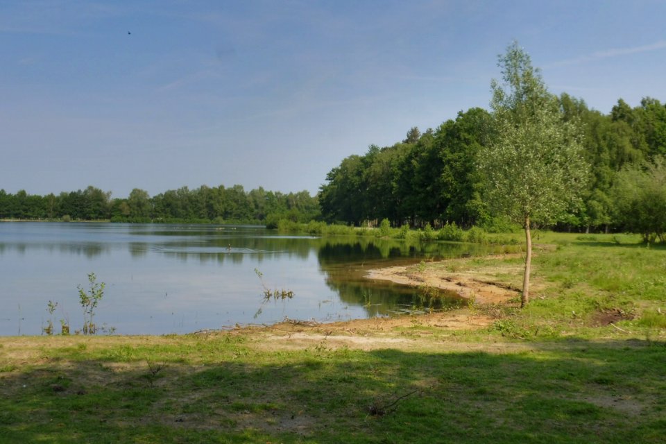 Delbrück - Boker Heide - 19