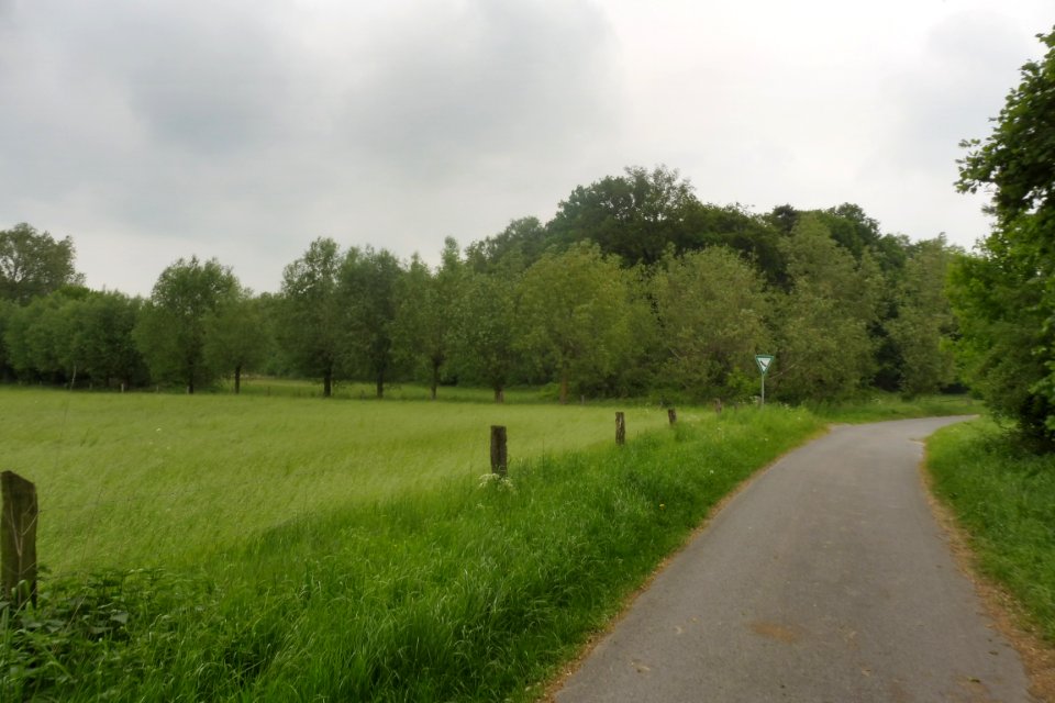 Delbrück - Rixel - 2