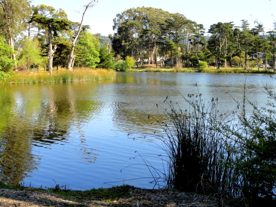 Del Monte Lake - Naval Postgraduate School - DSC06831