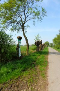 Delbrück - Gunnewiesen - 6
