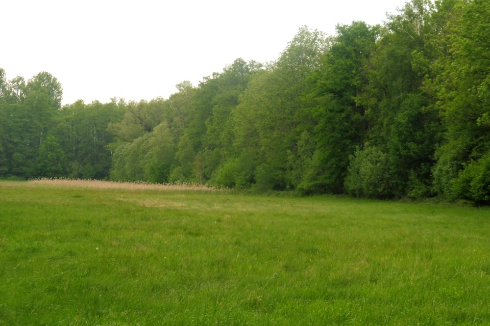 Delbrück - Rixel - 3