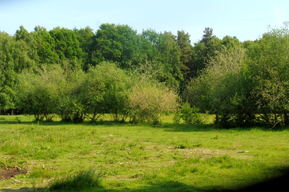 Delbrück - Boker Heide - 16