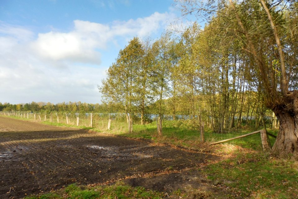 Delbrück - Boker Heide - 7