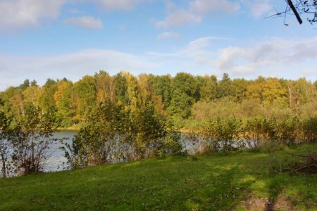 Delbrück - Boker Heide - 4