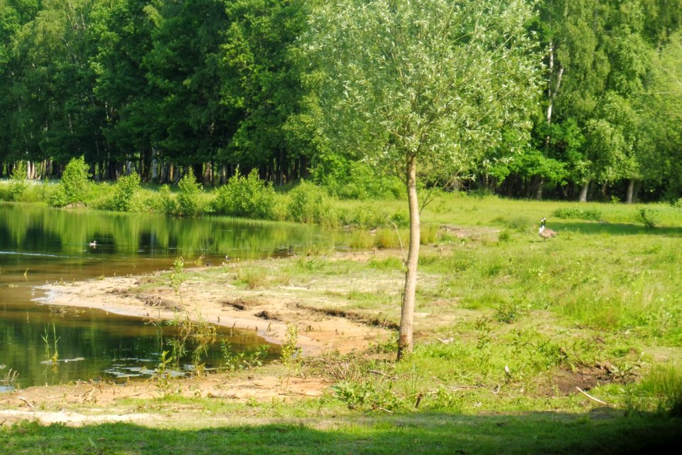 Delbrück - Boker Heide - 13