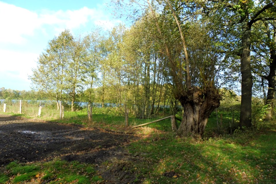 Delbrück - Boker Heide - 6