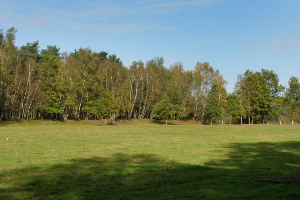 Delbrück - Boker Heide - 9