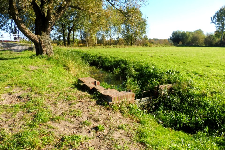 Delbrück - Boker-Heide-Kanal - Neukirchs Schleuse - 5