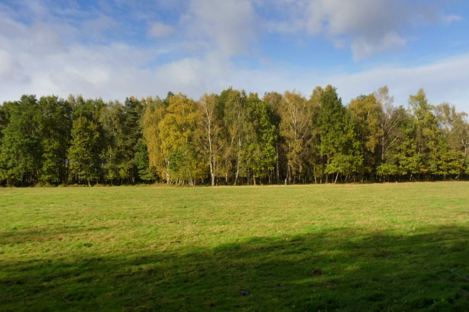 Delbrück - Boker Heide - 10
