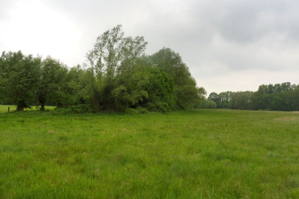 Delbrück - Rixel - 4