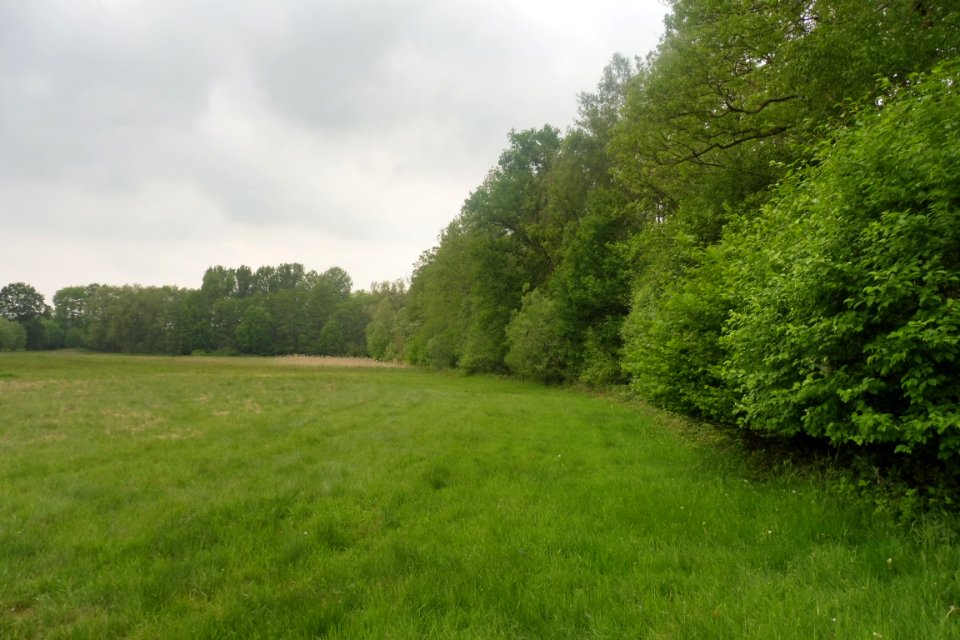 Delbrück - Rixel - 5