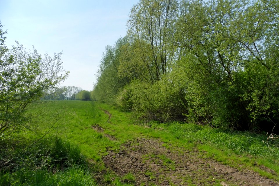 Delbrück - Gunnewiesen - 5