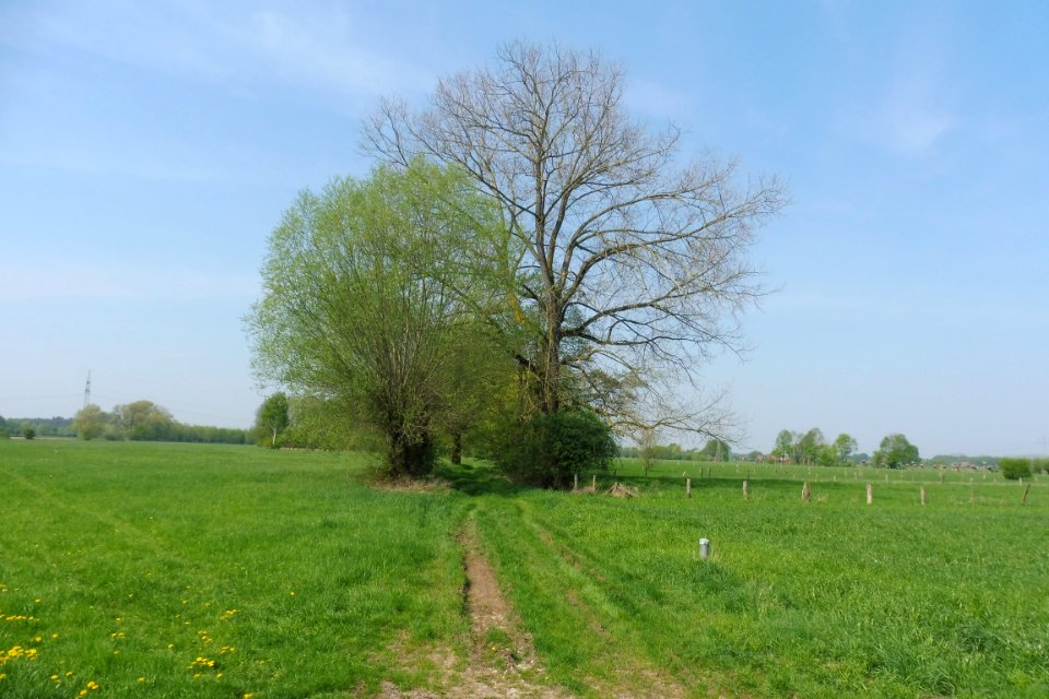 Delbrück - Gunnewiesen - 1