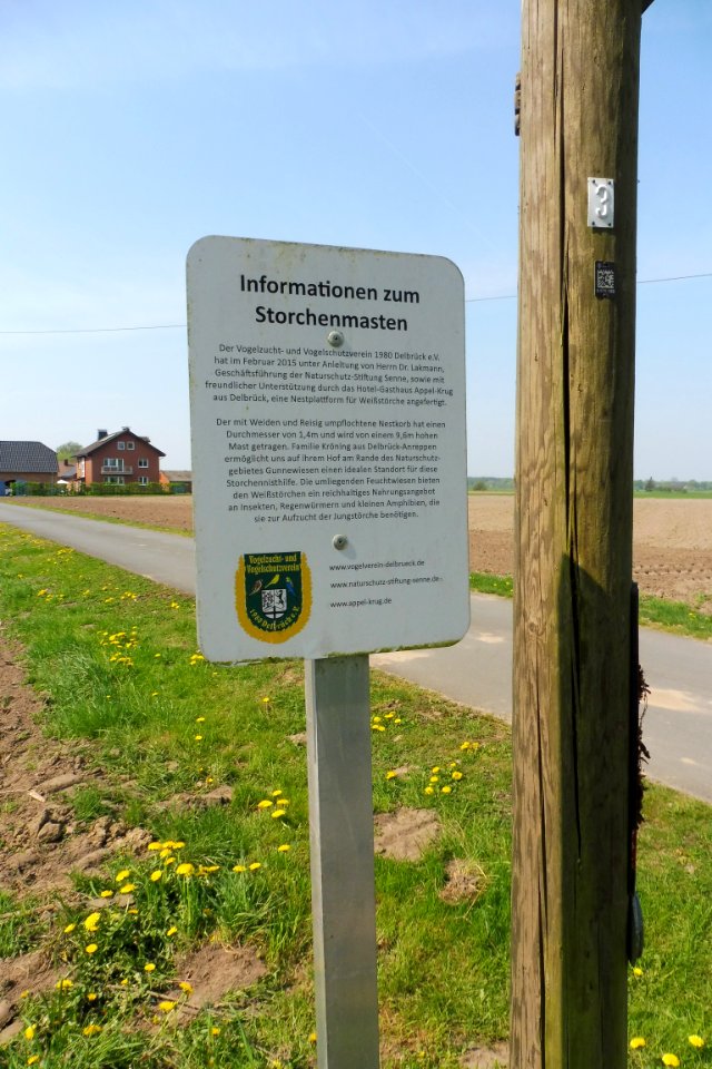 Delbrück - Gunnewiesen - 7
