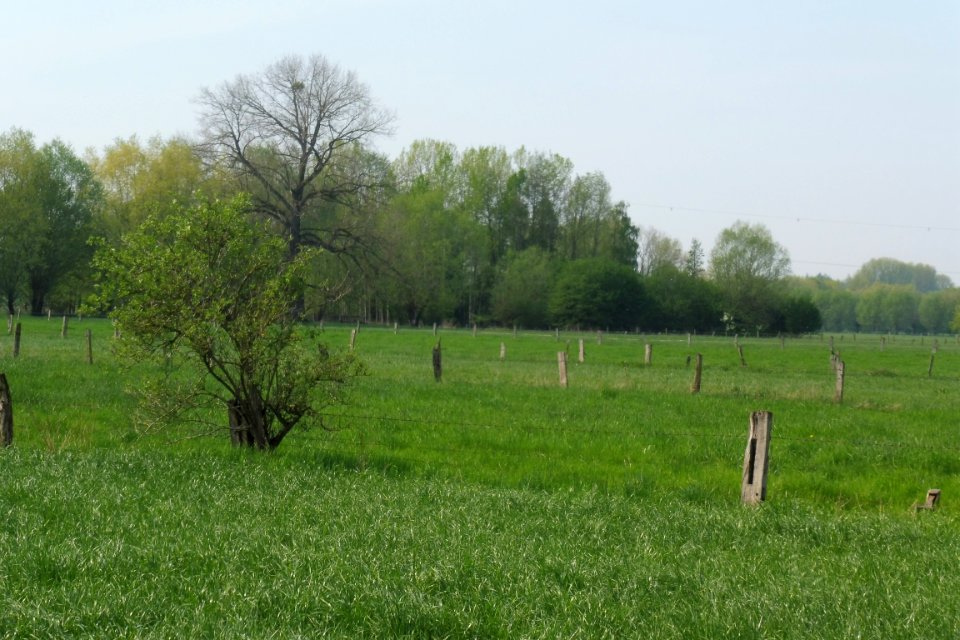 Delbrück - Gunnewiesen - 4