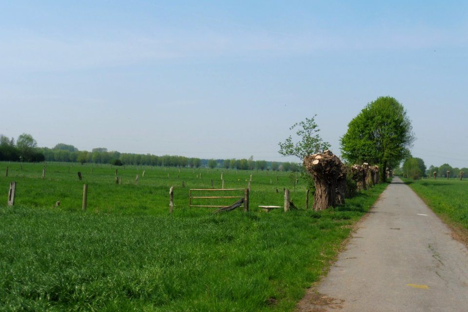 Delbrück - Gunnewiesen - 3