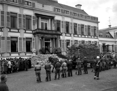 Defilé langs de koninklijke familie op het bordes van paleis Soestdijk, Bestanddeelnr 907-7277