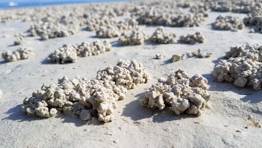 Marine ocean sand texture photo