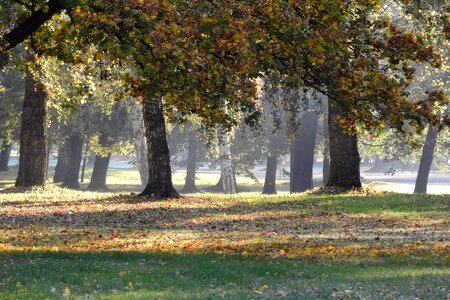 Autumn czech budejovice stromovka