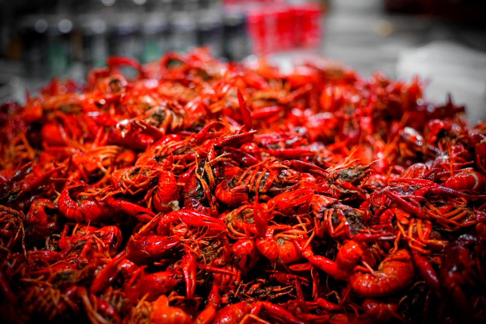 Delicious Lobster (228745317)